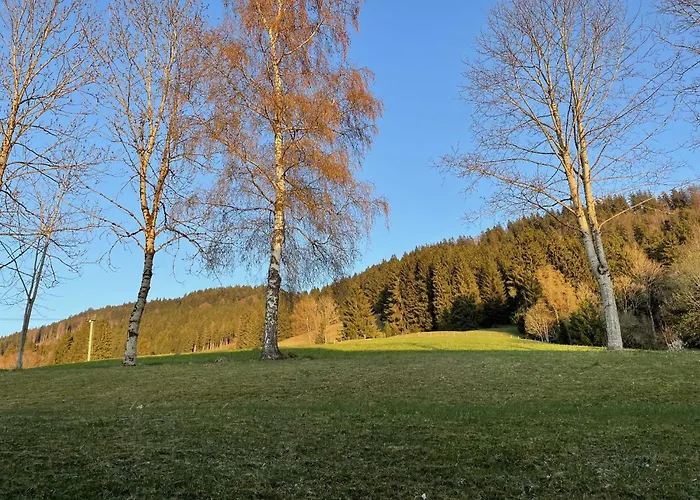 Fewo Ferienpark Mit Swimmingpool Und Aussicht 15