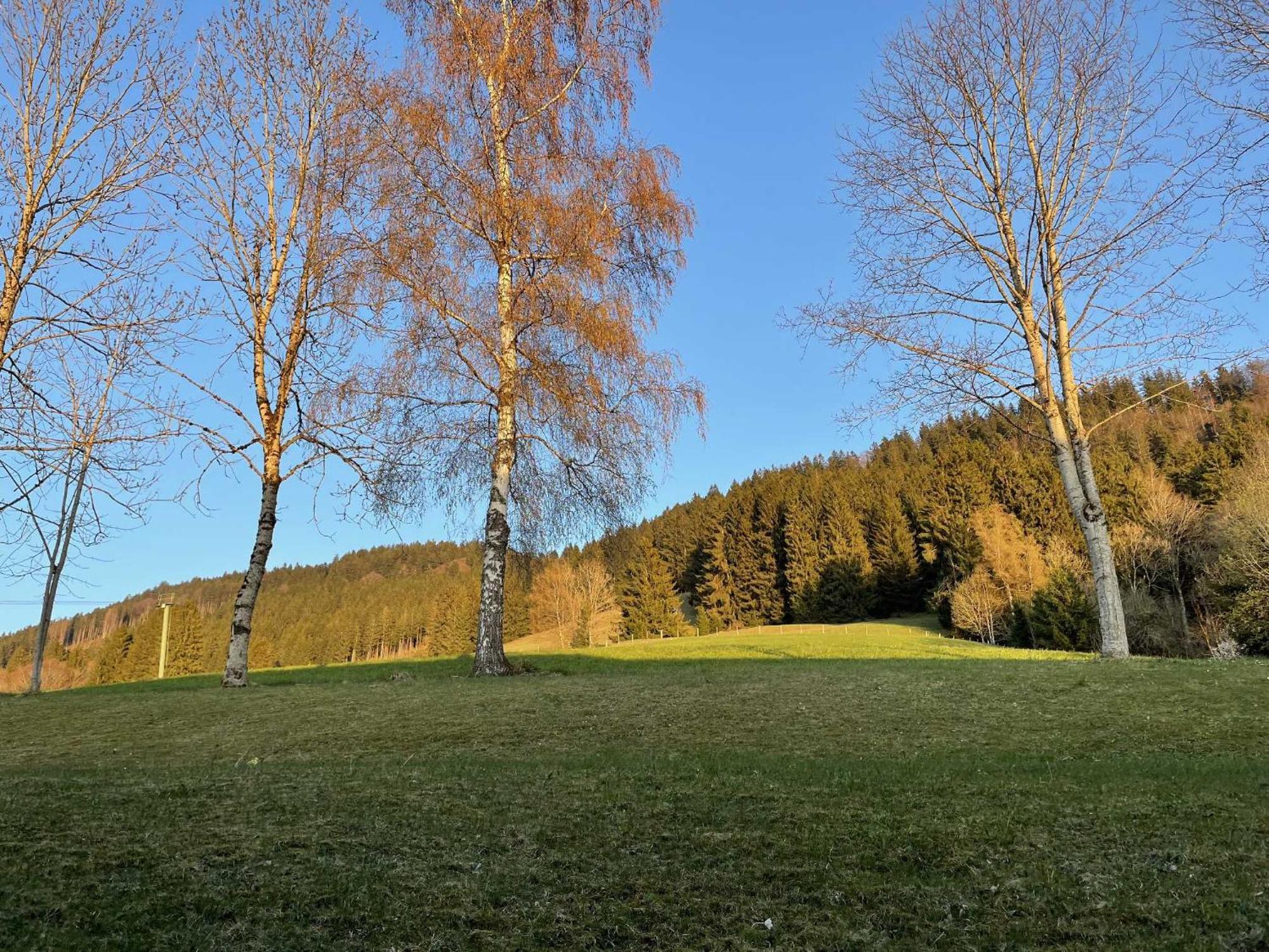 Appartement Mit Swimmingpool Und Aussicht 15 *