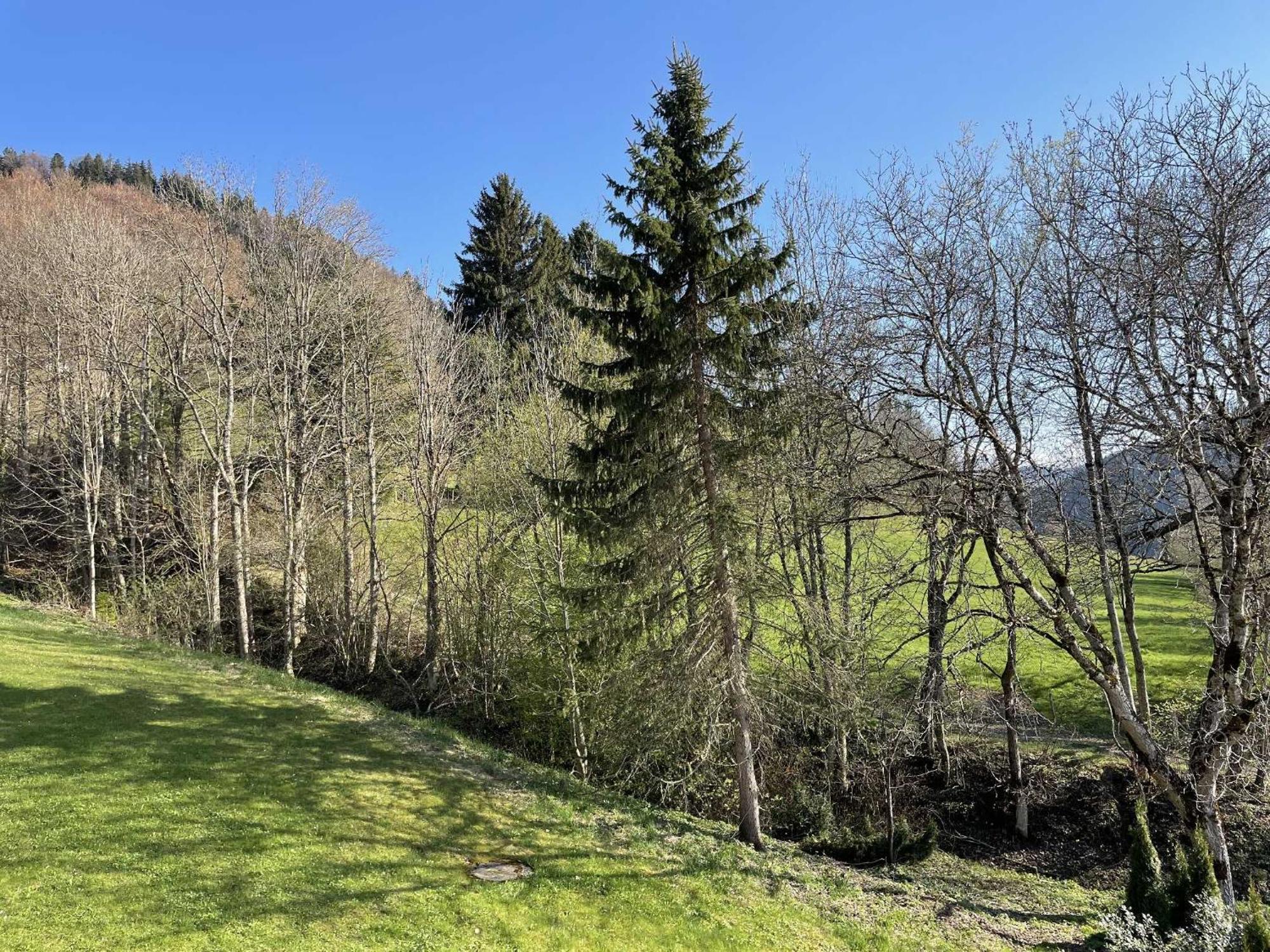 Appartement Mit Swimmingpool Und Aussicht 15 Missen-Wilhams